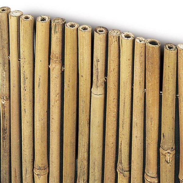 Arella bamboo - immagine 3