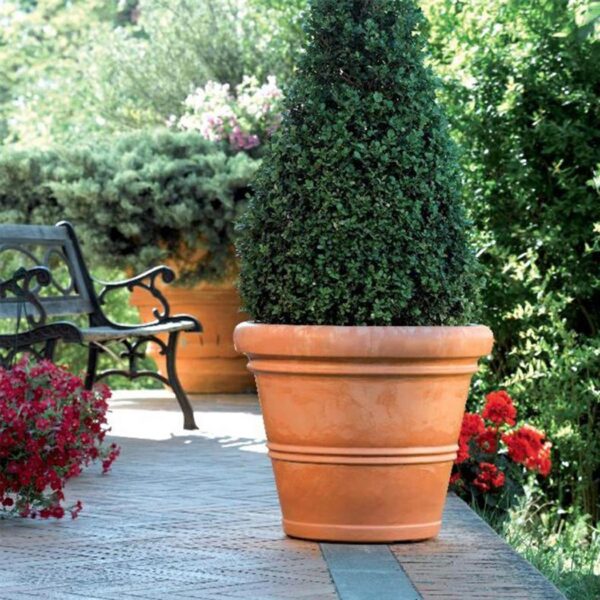 Chianti vaso - immagine 2